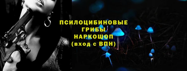 spice Алексин