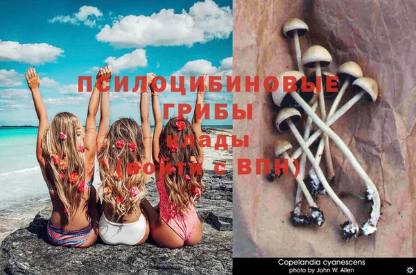 прущий лед Рославль
