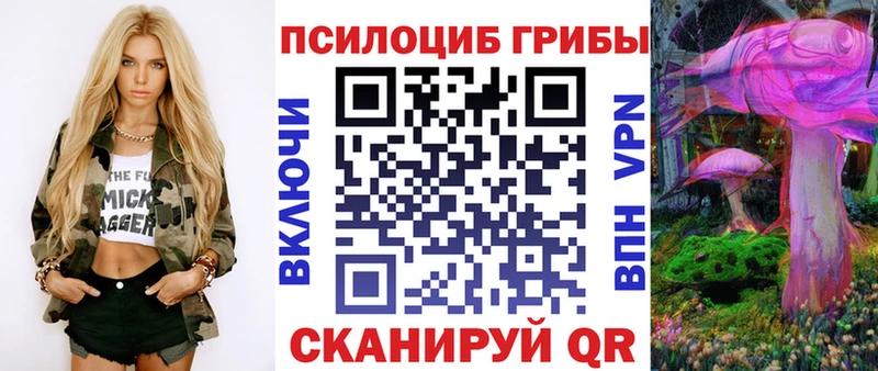 Псилоцибиновые грибы прущие грибы  Махачкала 