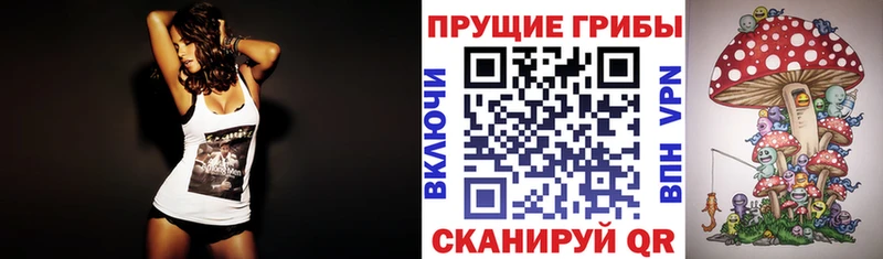 Псилоцибиновые грибы GOLDEN TEACHER Махачкала