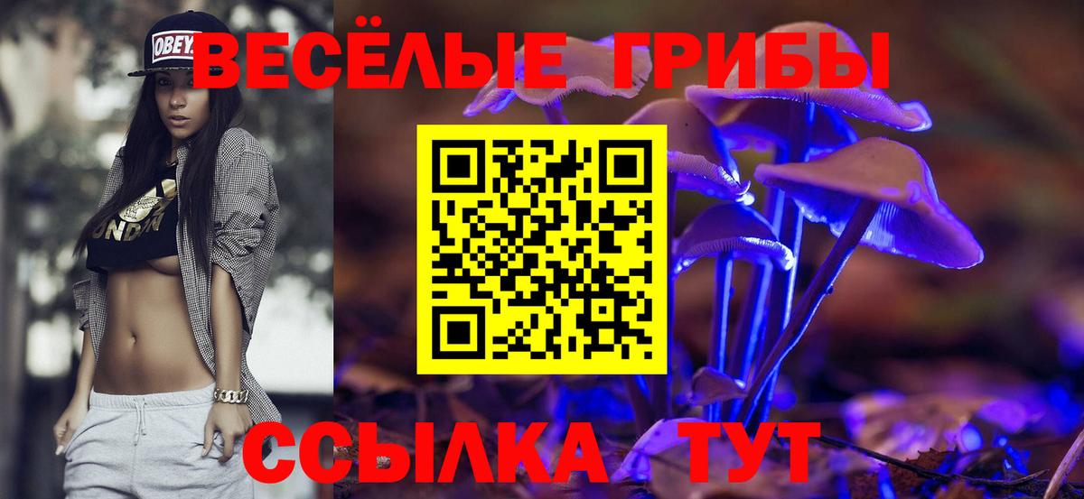 сколько стоит  Вход с VPN  Махачкала  Галлюциногенные грибы Psilocybine cubensis 