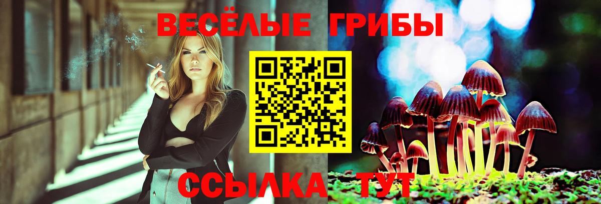 Галлюциногенные грибы GOLDEN TEACHER Махачкала