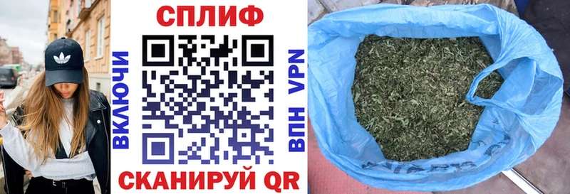 Каннабис семена  гидра ссылка  Махачкала  хочу  